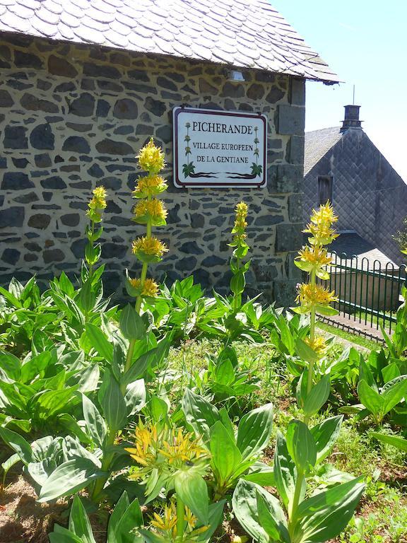 Aparthotel Aux Balcons Du Sancy Picherande Exteriér fotografie